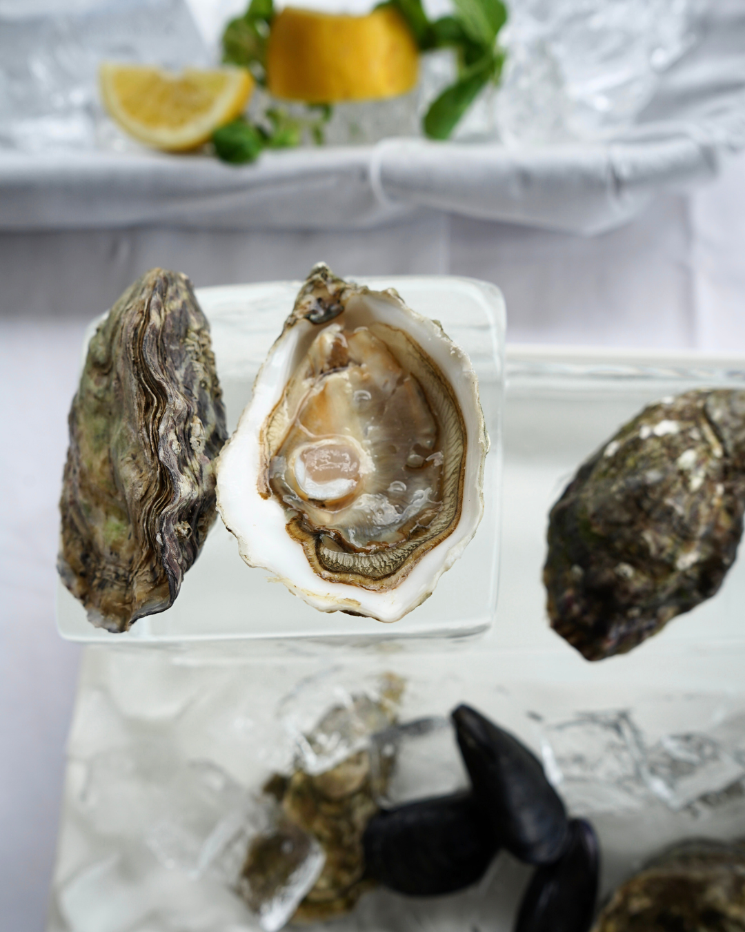 ghiaccio per ostriche ristorante