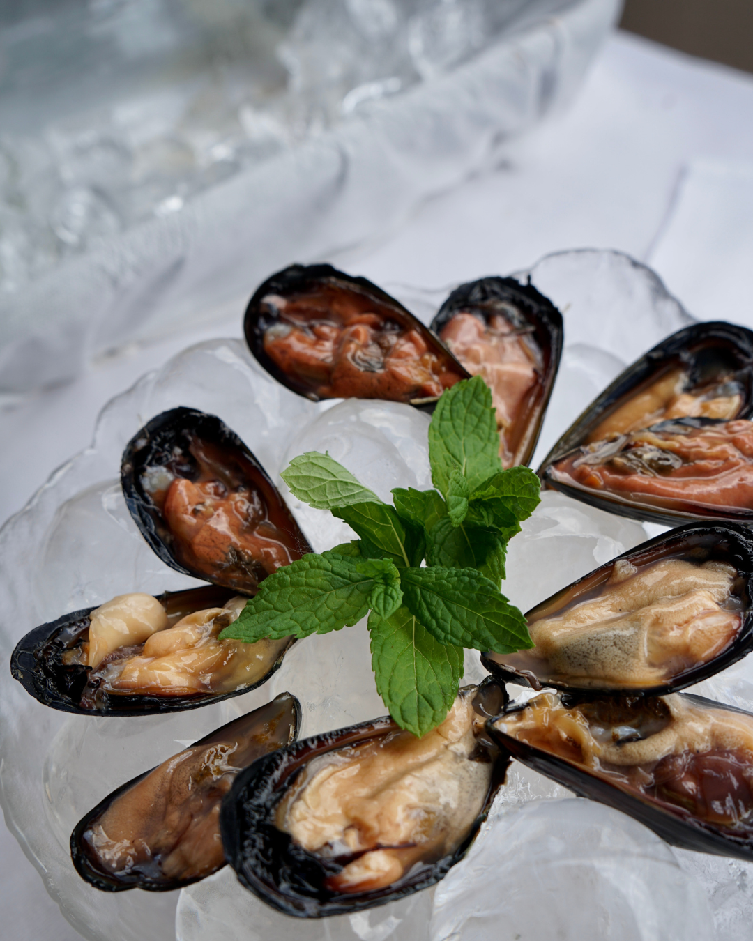 Cozze in fresco con ghiaccio ristorazione