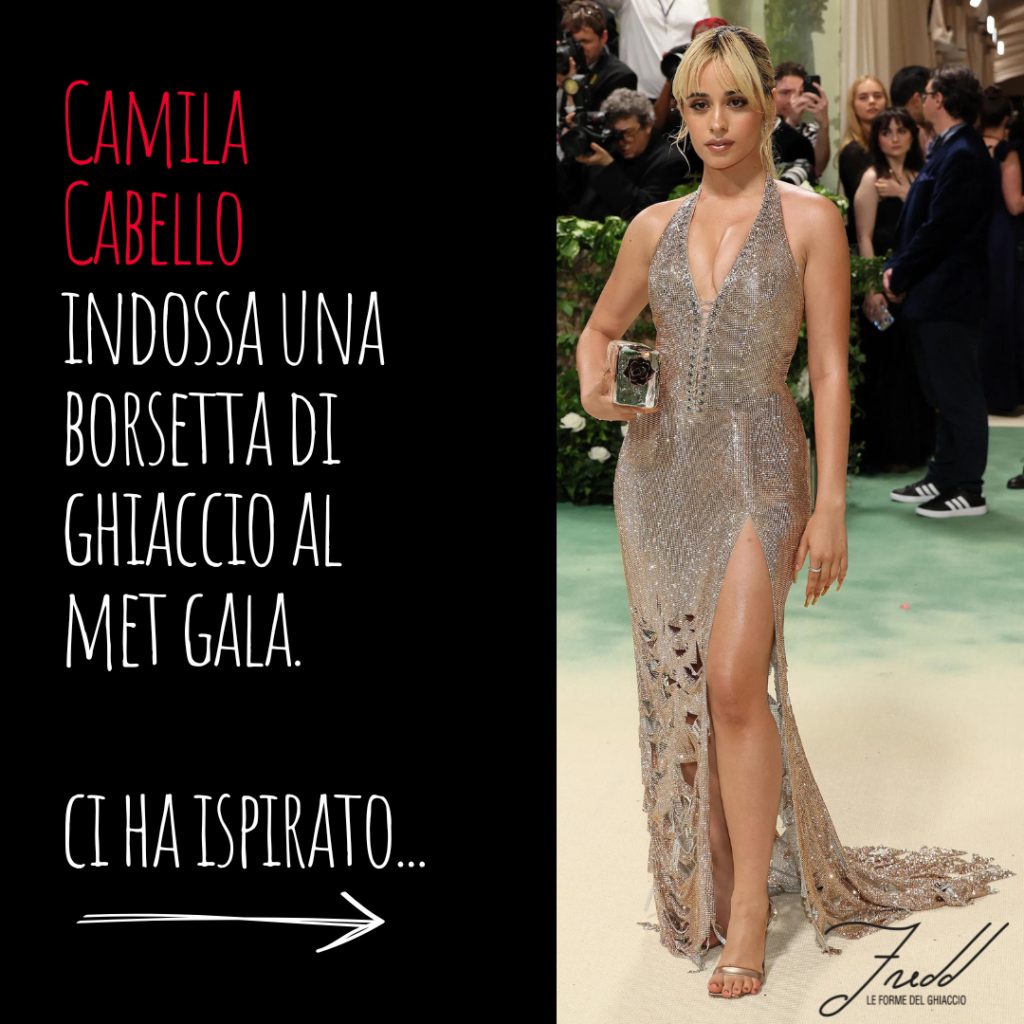 4 Camila Cabello, borsetta di ghiaccio
