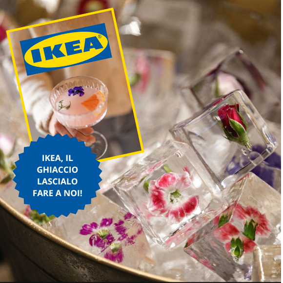 GHIACCIO CON FIORI EDULI